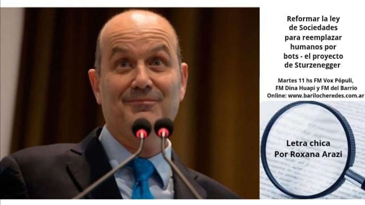 Algoritmos al poder y bolsillos llenos para el gobierno: la nueva casta de Sturzenegger